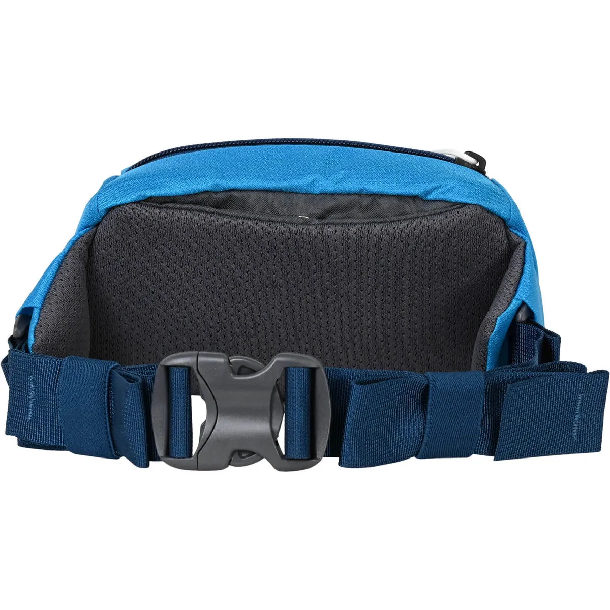 MYSTERY RANCH FORAGER HIP PACK