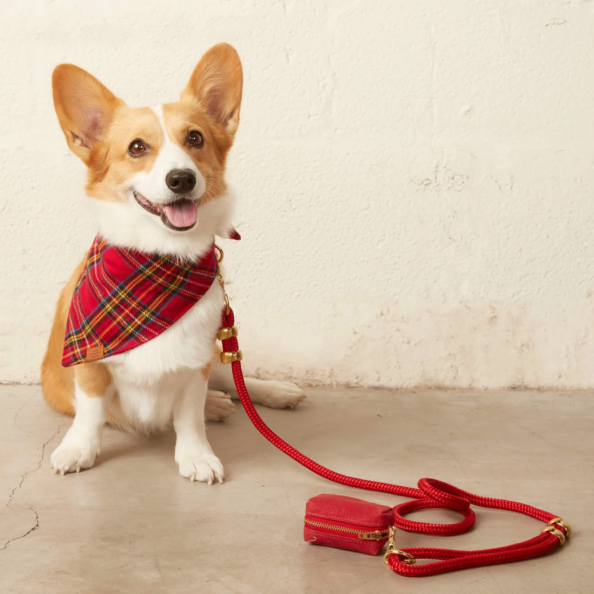 Ruby Waxed Canvas Waste Bag Dispenser