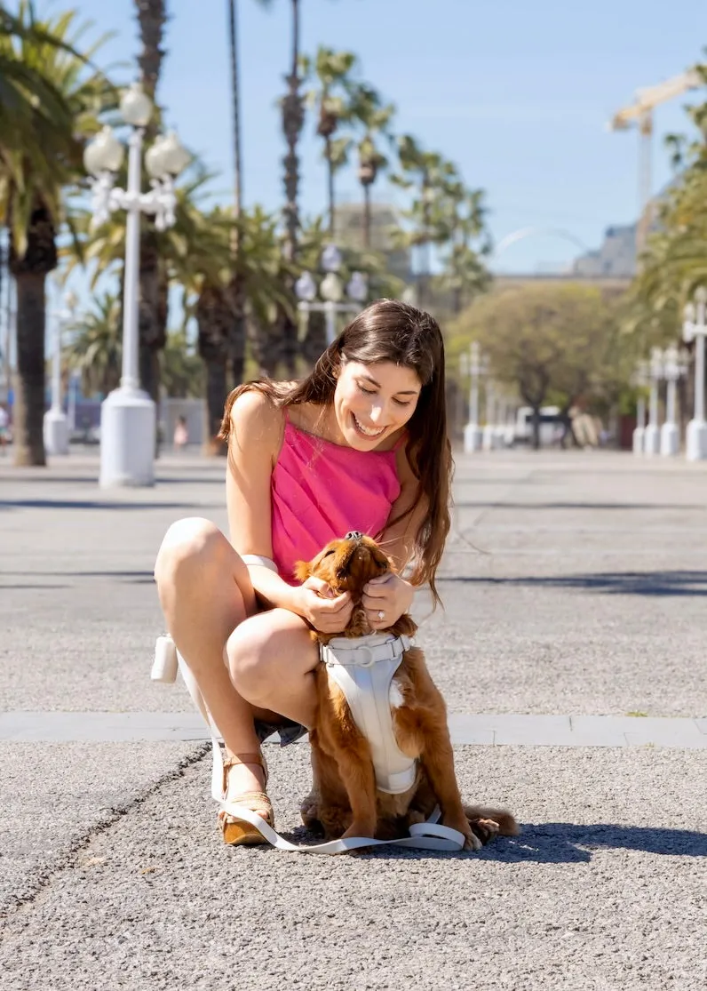 Soft Stone Dog Poop Bag Dispenser