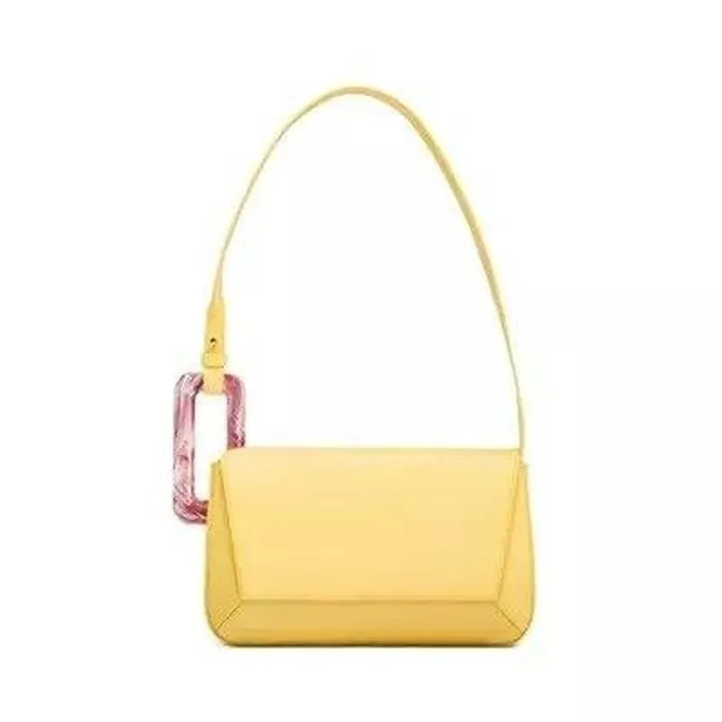 Stylish Luxury Female Long Panelled Flap Acrylic Shoulder Bag